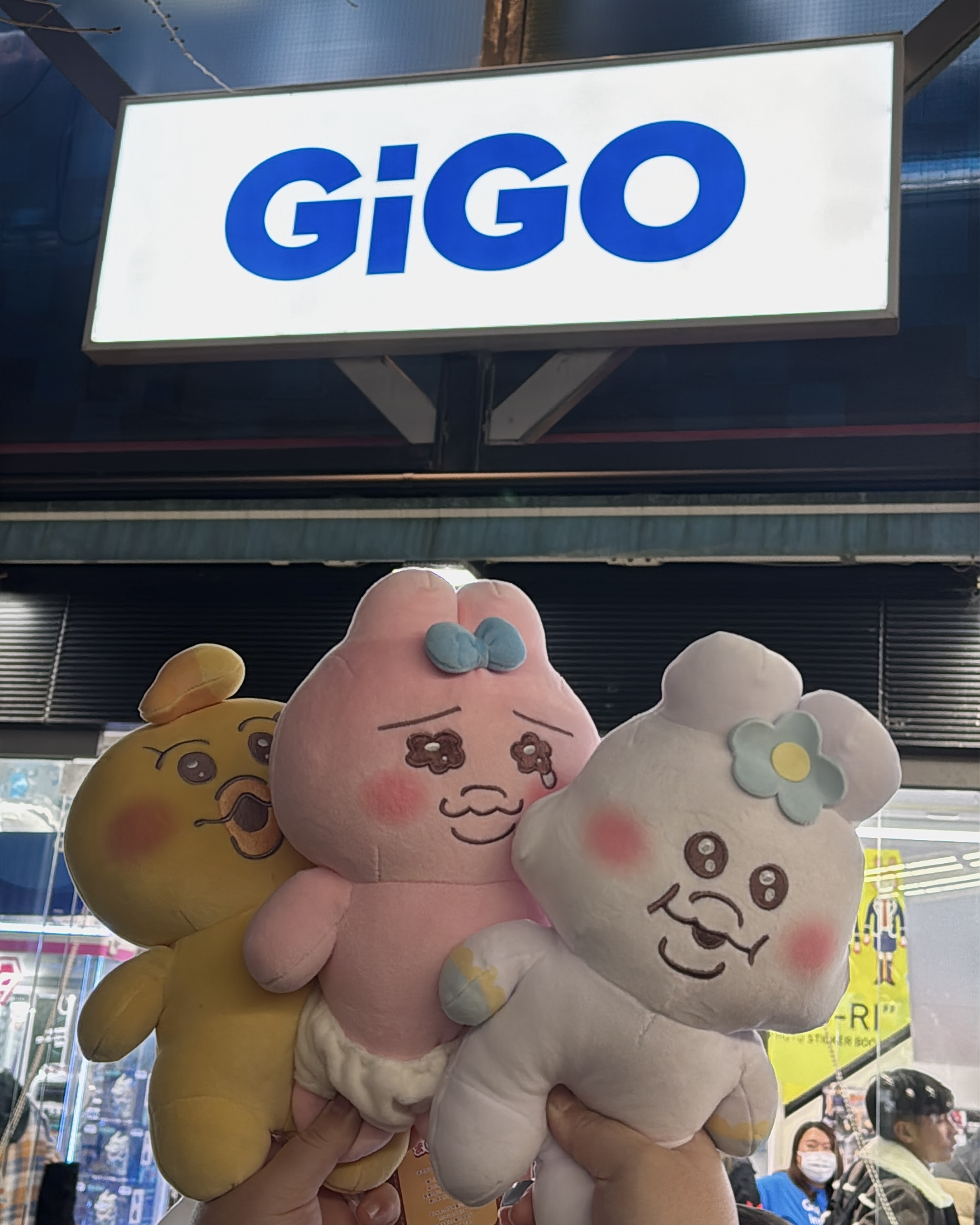 Gigo